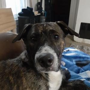 Silver Spoon (Explicit)