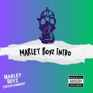 Marley Boyz Intro (feat. John Wall & Mike Marley) [Explicit]