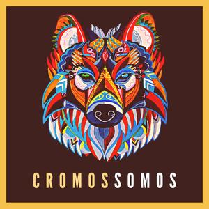 Cromossomos