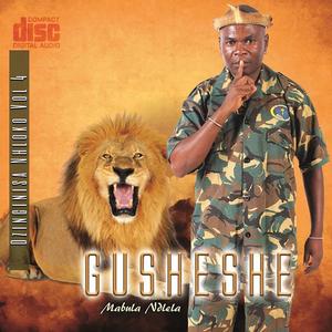 Gusheshe (mvuthu) (feat. Khabazela & Dr nhanha)