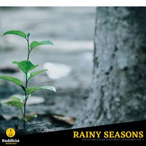 Rainy Seasons - Rain Nature Sounds in Different Atmospheres, Vol. 4