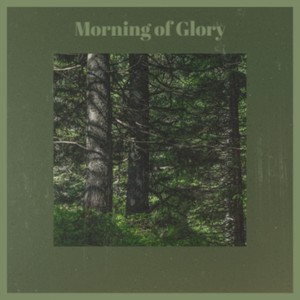Morning of Glory
