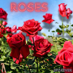 Roses (Explicit)