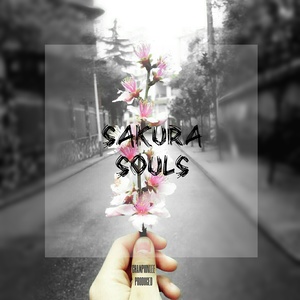 Sakura Tears