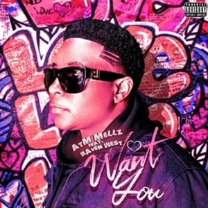 Want you (feat. Raven West) (Special Version) (Special Version)