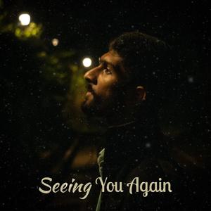 Seeing You Again