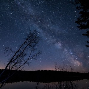 Sweet Night
