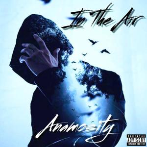 In The Air (feat. Dajerae) (Explicit)