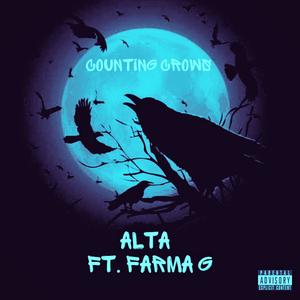 ALTA - COUNTING CROWS (Remix|Explicit)
