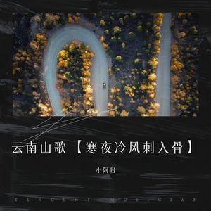 云南山歌 寒夜冷风刺入骨 (伴奏)