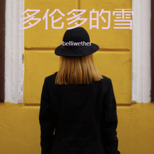 多伦多的雪