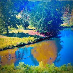 Shake & Bake (feat. CamYouAFool) (Explicit)