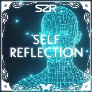 Self-Reflection