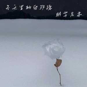 冬天里的白玫瑰