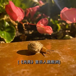 光亮DEMO