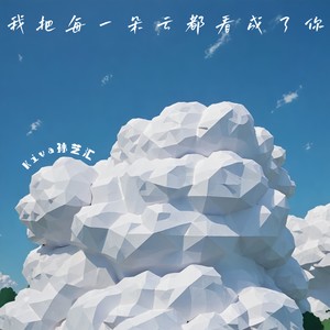 我把每一朵云都看成了你