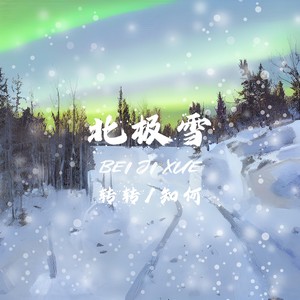 北极雪