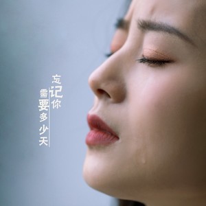 忘记你需要多少天 (深情版)