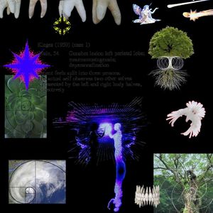 balikova intro (Explicit)