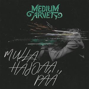 Mulla hajoaa pää (Explicit)