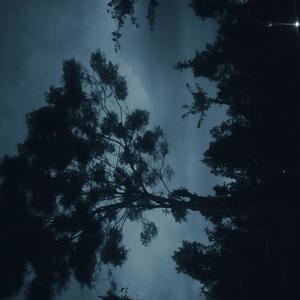 fallen (sonance rmx)