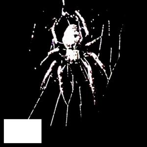 You got me (feat. Ginja & MENAZA) (Explicit)