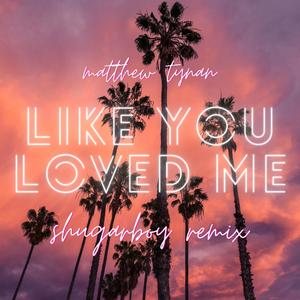 Like You Loved Me (Shugarboy Remix)