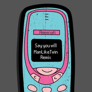 Say You Will (Remix)