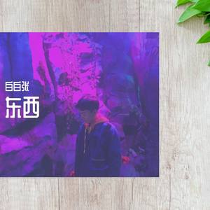 白白张-东西 (温柔男声版)