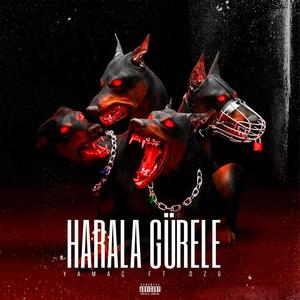 Harala Gürele (feat. DZG) [Explicit]