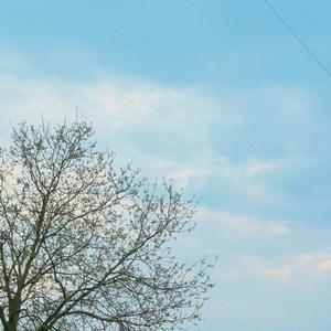 run away (feat. Fujiiro) (Explicit)