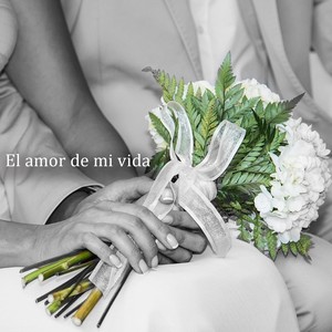 El amor de mi vida