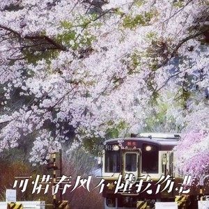 可惜春风不懂我伤悲-万能和弦