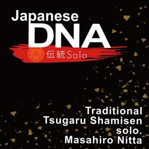 Japanese DNA