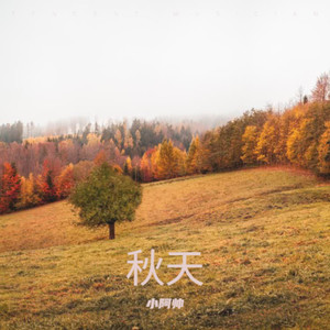 秋天的落月满天飞