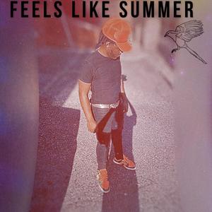 Feels Like Summer (Explicit)