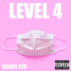 Level 4 (Explicit)