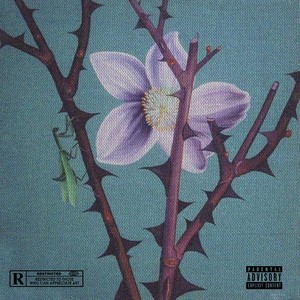 Flowers X Thorns (Explicit)