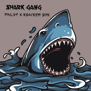 Shark Gang (Explicit)