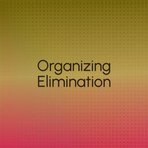 Organizing Elimination