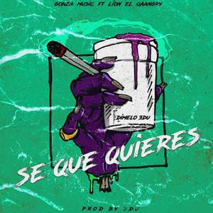 Se Que Quieres (feat. Lion El Qaangry)