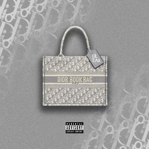Dior Book Bag (Explicit)