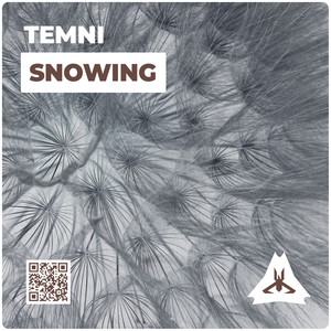 Snowing (Original Mix)