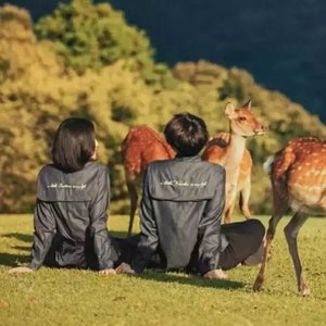 一滴泪的时间-盼夏