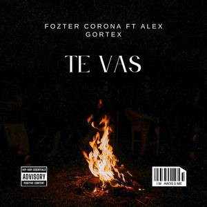 TE VAS (FT Alex Gorter)