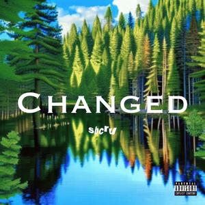 changed (Explicit)