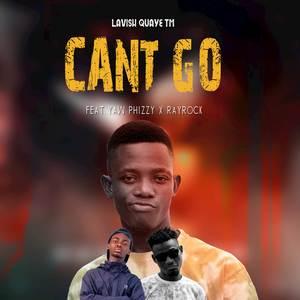 Can't Go