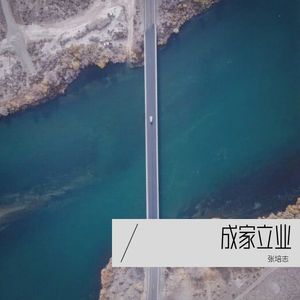 成家立业 (Remix)