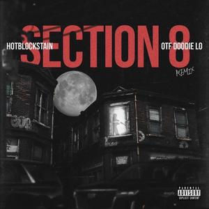 Section 8 remix (Explicit)