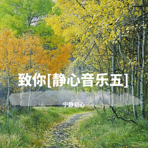 如果呢-宁静初心